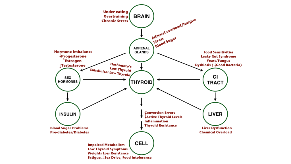 Impaired Metabolism Graphic