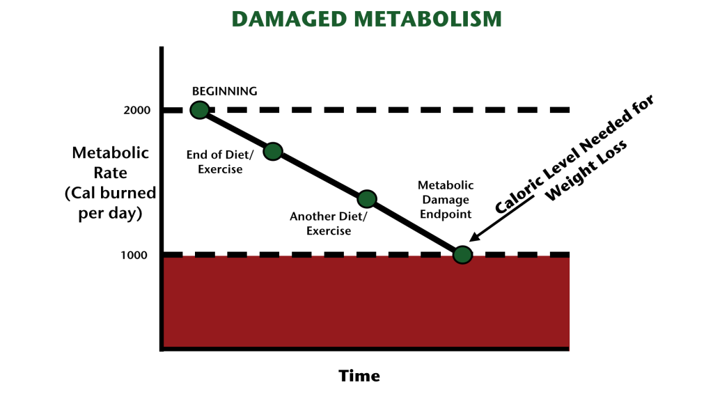 Metabolic Damage Graph