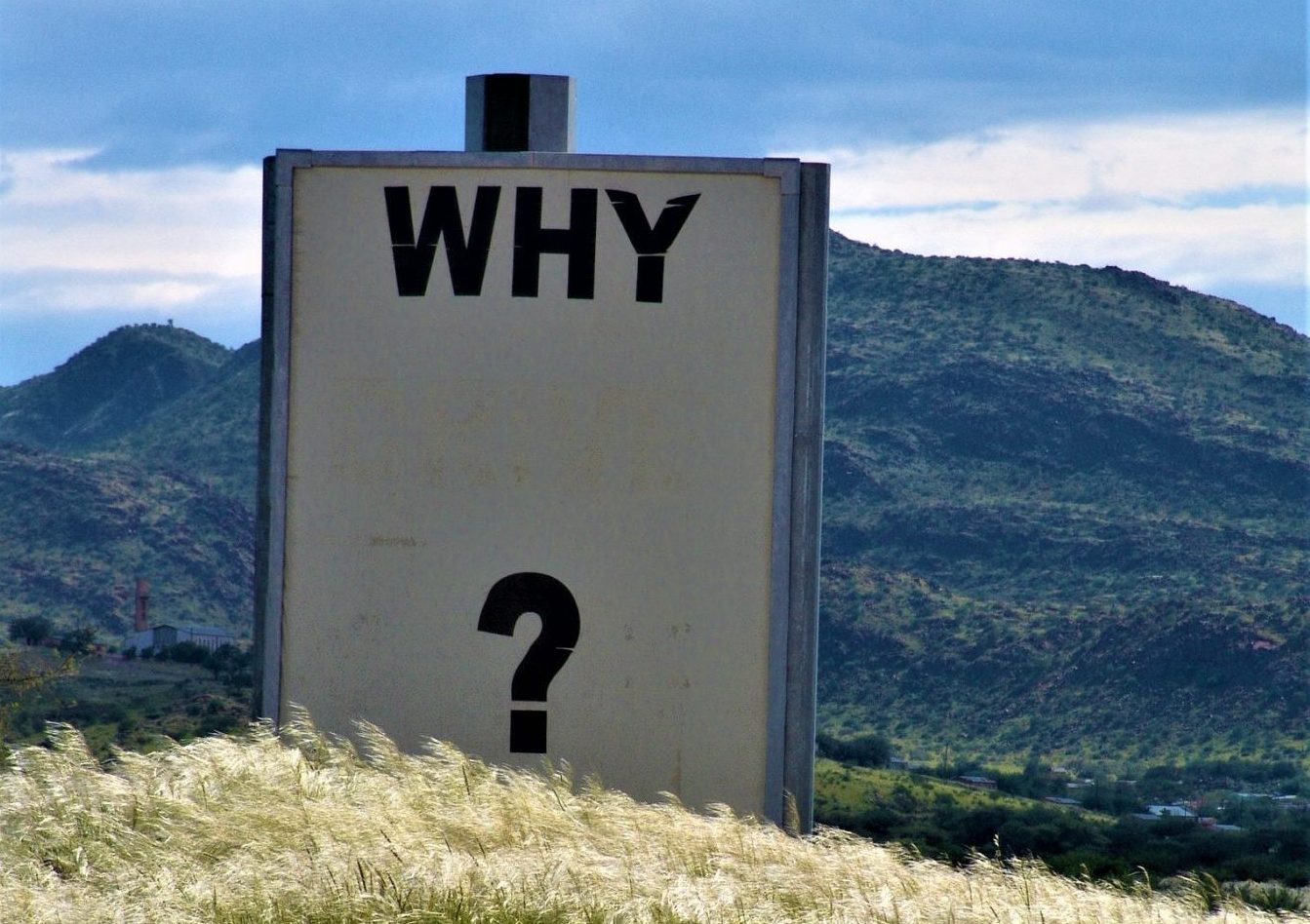 You are currently viewing Why Do My Adrenal Glands Hate Me!?