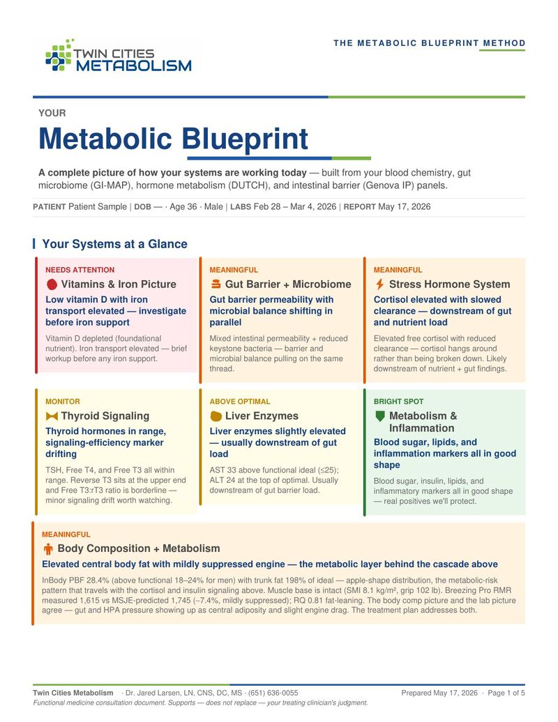 Sample Metabolic Blueprint page 1