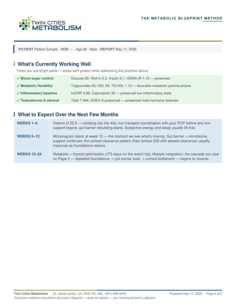 Sample Metabolic Blueprint page 4