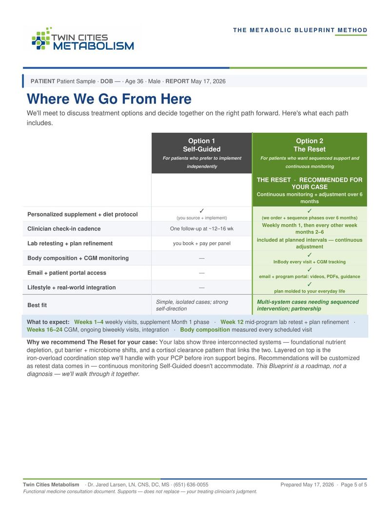 Sample Metabolic Blueprint page 5