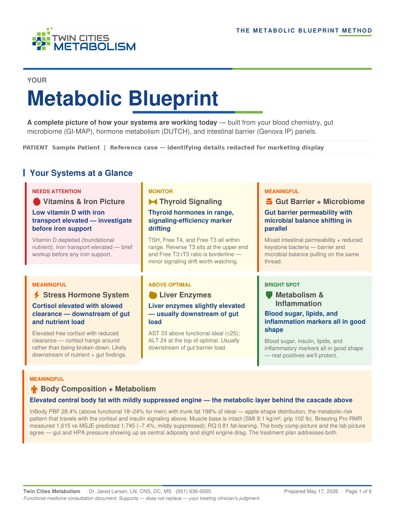 Sample Metabolic Blueprint — Your Systems at a Glance