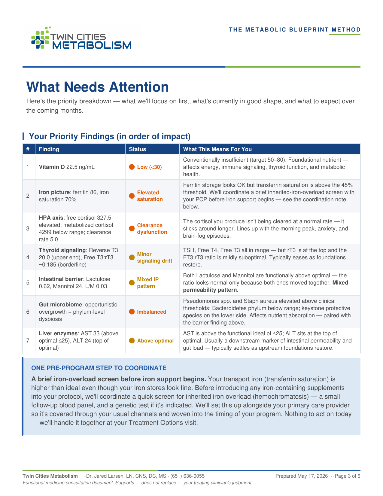 Sample Metabolic Blueprint — Priority Findings